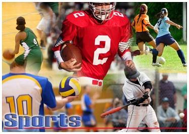 welcome to Allegheny Mountain League!